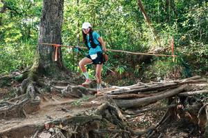 BIB: 
                            <button type="button" onclick="openModal(27558351)" class="btn btn-primary btn-sm float-right btn-popup" data-toggle="modal" data-target=".modal-high-quality">
                        <i class="fas fa-shopping-cart"></i> Add to Cart
                    </button>
                                            <button type="button" onclick="isThisMe(27558351, true)" class="btn btn-success btn-sm float-right btn-popup btn-isme hidden" data-toggle="tooltip" data-placement="bottom" title="นี่คือรูปของคุณใช่ไหม คลิกที่นี่เพื่อเอาเข้าอัลบั้ม">
                        <i class="fas fa-plus"></i> Add to album
                    </button>
                    <button type="button" onclick="isThisMe(27558351, false)" class="btn btn-warning btn-sm float-right btn-popup btn-isnotme hidden">
                        <i class="fas fa-ban"></i> Remove from album
                    </button>